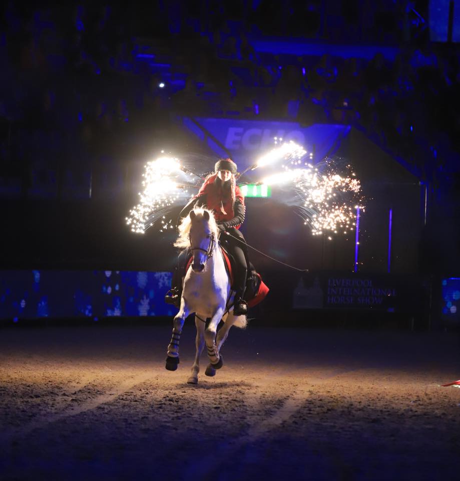 Karl's Horsemanship Video Guide