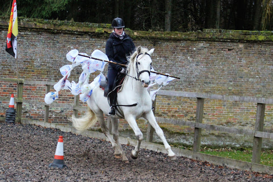 Karl's Horsemanship Video Guide