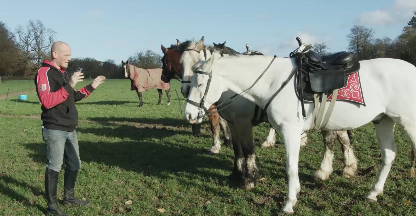 Karl's Horsemanship Video Guide