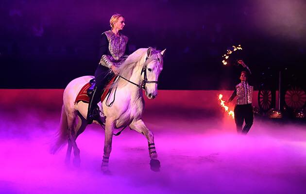 Karl's Horsemanship Video Guide
