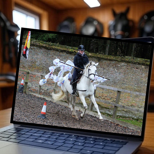 Karl's Horsemanship Video Guide